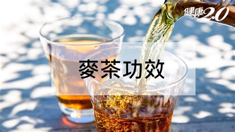 麥許多|麥茶功效有哪些？麥茶穩血糖還防三高正確煮法一次看